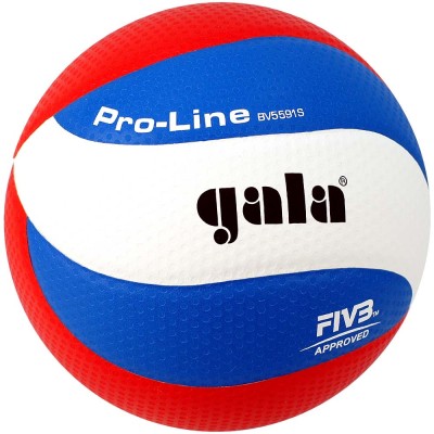 Мяч волейбольный Gala Pro-Line 10 FIVB арт.BV5591S Мяч волейбольный Gala Pro-Line 10 FIVB арт.BV5591S