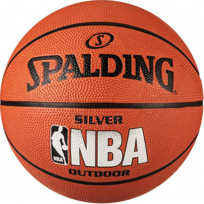 Мяч баскетбольный Spalding NBA Silver Series Outdoor (№6) 83-015Z Мяч баскетбольный Spalding NBA Silver Series Outdoor (№6) 83-015Z
