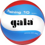 Мяч волейбольный Gala Training 10 арт.BV5561S