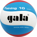 Мяч волейбольный Gala Training 10 арт.BV5567S
