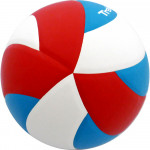 Мяч волейбольный Gala Training 10 арт.BV5567S