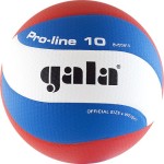 Мяч волейбольный Gala Pro-Line 10 арт.BV5581S