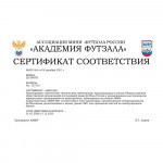 Мяч футзальный 2K Sport Crystal Diamond Sala (AMFR Approved) 127101