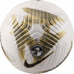 Мяч футбольный Nike Club Elite Team (FIFA Quality Pro) FQ4967-106