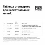 Мяч баскетбольный Wilson EVO NXT (№7) (FIBA Approved) арт.WTB0965XB Мяч баскетбольный Wilson EVO NXT (№7) (FIBA Approved) арт.WTB0965XB