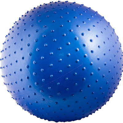 Мяч массажный Torres с насосом 65 см (синий), арт.AL121265