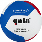 Мяч волейбольный Gala Pro-Line 12 арт.BV5595SA