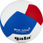 Мяч волейбольный Gala Pro-Line 12 (FIVB Approved) арт.BV5595S