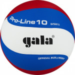 Мяч волейбольный Gala Pro-Line 10 арт.BV5821SA