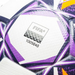 Мяч футбольный Select Brillant Super TB V24 (FIFA Quality Pro) (№5) арт.3615968009