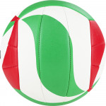 Мяч волейбольный Molten V5M2000