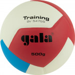 Мяч волейбольный Gala Training Heavy 12 арт.BV5475S (Утяжеленный)