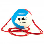 Мяч волейбольный на растяжках Gala Jump 12 арт.BV5485S