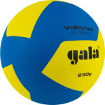 Мяч волейбольный Gala Training 230 12 (облегченный) арт.BV5655S