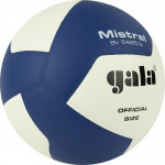 Мяч волейбольный Gala Mistral 12 арт.BV5665S
