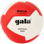 Мяч волейбольный Gala Bora 12 арт.BV5675S
