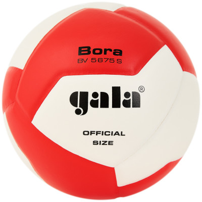 Мяч волейбольный Gala Bora 12 арт.BV5675S