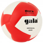 Мяч волейбольный Gala Bora 12 арт.BV5675S