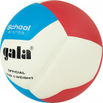 Мяч волейбольный Gala School 12 арт.BV5715S