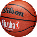 Мяч баскетбольный Wilson JR.NBA Fam Logo Indoor Outdoor (№6) арт.WZ2009801XB6