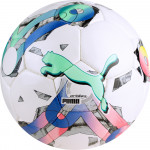 Мяч футбольный Puma Orbita 5 HS (№5), арт.08378601