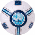 Мяч футбольный Torres BM 1000 (№5) F323625