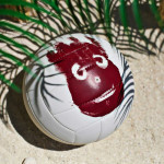 Мяч для пляжного волейбола Wilson Castaway WTH4615XDEF