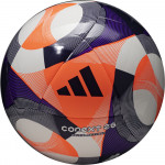 Мяч для пляжного футбола Adidas Conext 25 Pro Beach (FIFA Quality Pro) JH1276