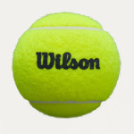 Мячи для падела Wilson Premier Padel, арт.WR8908401001 (упак.3шт.)