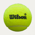 Мячи для падела Wilson Premier Padel Speed, арт.WR8908501001 (упак.3шт.) Мячи для падела Wilson Premier Padel Speed, арт.WR8908501001 (упак.3шт.)